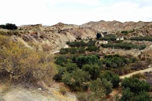 08 20210922 ALMERIA UN CROCHET PAR TERQUE MAISON TROGLODYTE (21)